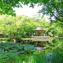 숲 - 아산시 공원로16번길 26-3 | 숲