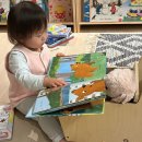 디북스 | 도레미곰 전집 1년 반 후기 시기, 구성 등, 18개월부터 34개월까지 사랑하는 창작 전집