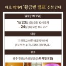 태초에는 이미지