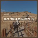 알프스애견 | 영남 알프스 애견동반 등산 후기, 울산 간월재 반려견 등산 비추천