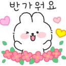 이마트에브리데이 성대점 이미지