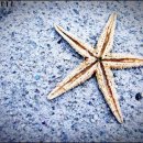 선두하우스 이미지