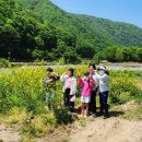 부귀초등학교 이미지