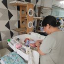 산후조리도우미과정 | 강남구 산후조리 도담도담 산후도우미 3주 후기 (with 황혜경 선생님)