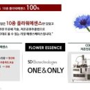 로지sd로샤