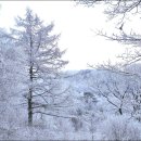 삼가-21 이미지