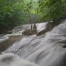 세미국수 이미지