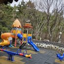 호돌유치원 이미지