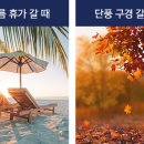 룩스토어 동천점 이미지