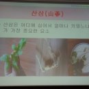 대삼임업 네이버블로그