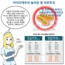 리치메이커 이미지