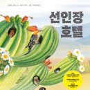 봉대초등학교 이미지