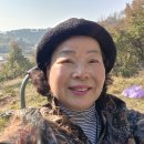 안성가 이미지