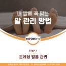 레푸스 범어점 이미지