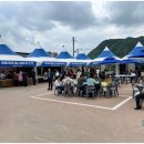 여행스타그램 2025 영양산나물 축제 함께하는 응원과 함께하는 산나물