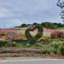 노을정원 이미지