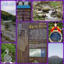 송화네 펜션 이미지