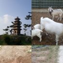 탑리농장 이미지