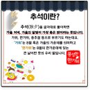 경희대 정도태권도 이미지