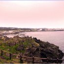 하얀둥지펜션 이미지