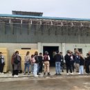 코리아피스컴 이미지