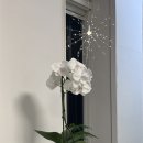 마천로15길 이미지