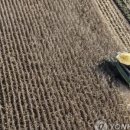 상승컴퍼니 네이버블로그