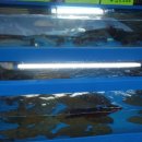 세븐일레븐 인천계양작전점 이미지