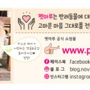 세이프애니펫 네이버블로그