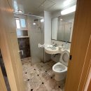 골드 휴 이미지