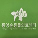 통영숲동물의료센터 이미지