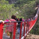 거목 통나무집 이미지