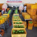 중호농장 이미지