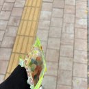 임상병리사협회 뇌혈류 초음파 후기