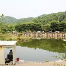 가평낚시터