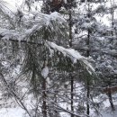 죽엽산농장 이미지