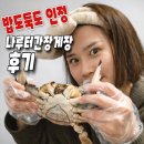 밥도둑 | 암꽃게간장게장 850g 대부도간장게장맛집 나루터 간장게장택배 밥도둑 후기