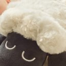 앱솔루트프로젝트 이미지