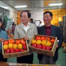 정택농장 이미지