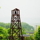 DMZ자생식물원 Daum카페