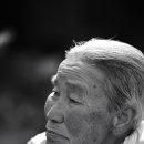 장터사람들 이미지