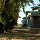 모량1리 이미지