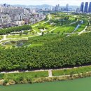 태화강국가정원 이미지