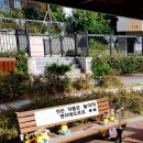 LH감전 꿈꾸는 작은도서관 이미지