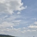 여주-0517 이미지