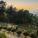 산수목장 이미지