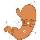 더 바른병원 이미지