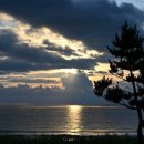 올래오늘또 이미지