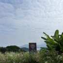 통영옻칠미술관 이미지