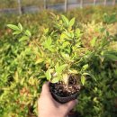 일선농장 이미지